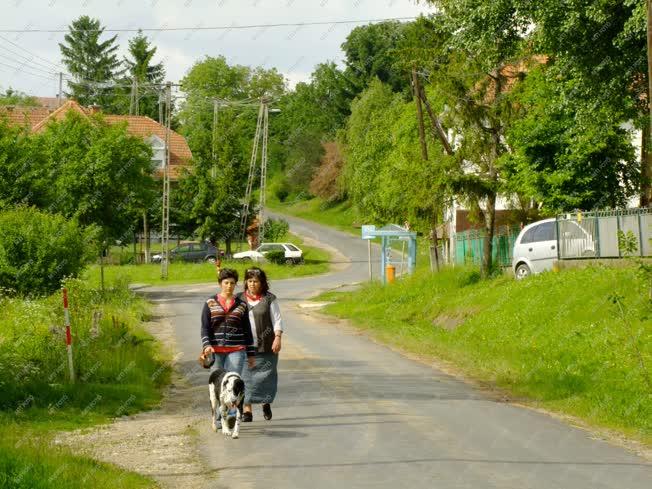 Táj, város - Milejszeg - Falukép