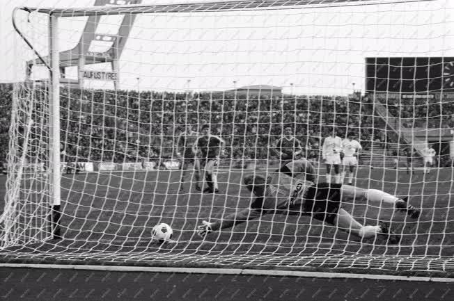 Sport - Labdarúgás - Ferencváros-Bp. Honvéd 