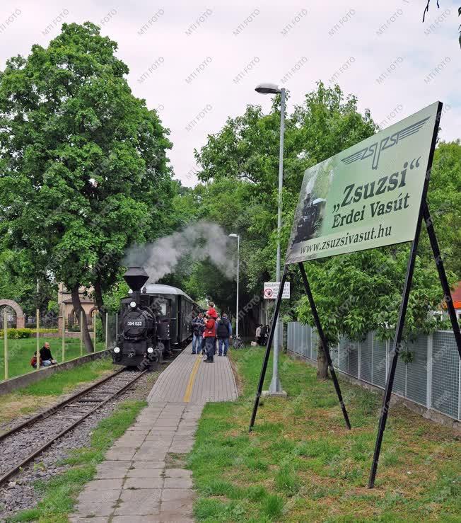 Közlekedés - Debrecen - Zsuzsi Erdei Vasút 