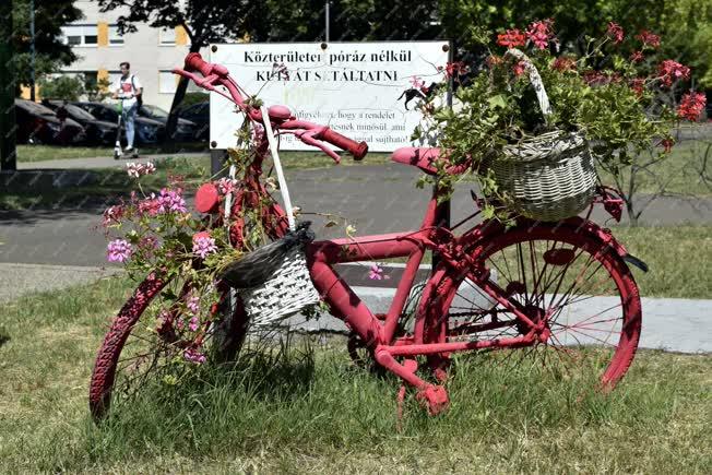 Érdekesség - Budapest - Virágos kosarakkal díszített kerékpár egy zuglói utcán