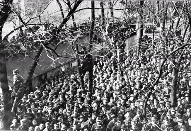 Történelem - 1919 - Tiltakozás a letartóztatot kommunistákért