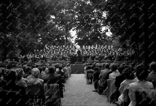 Kultúra - Új hangversenypark Martonvásáron