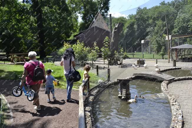 Életkép - Budapest - Látogatók a Margitszigeti Vadasparkban