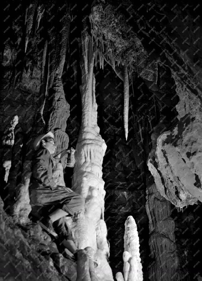 Barlangászat - Kutatók a Béke-barlangban