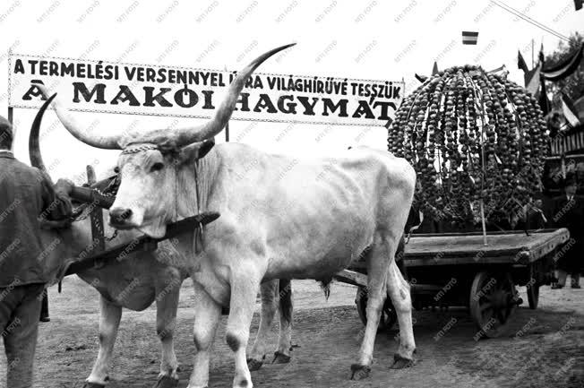 Belpolitika - Nagygyűlés Mezőhegyesen