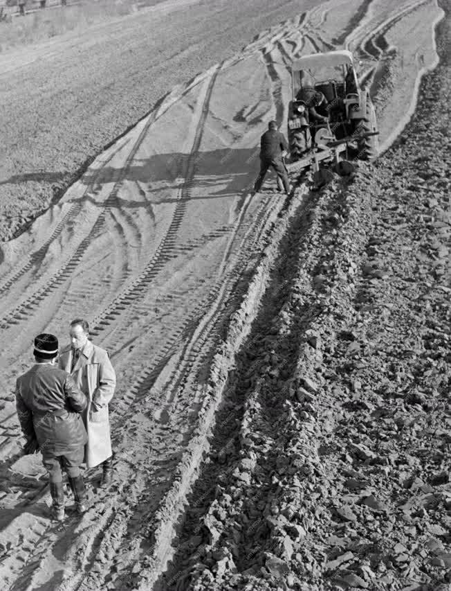 Mezőgazdaság - A Helvéciai Állami Gazdaságban megkezdték a tavaszi munkákat