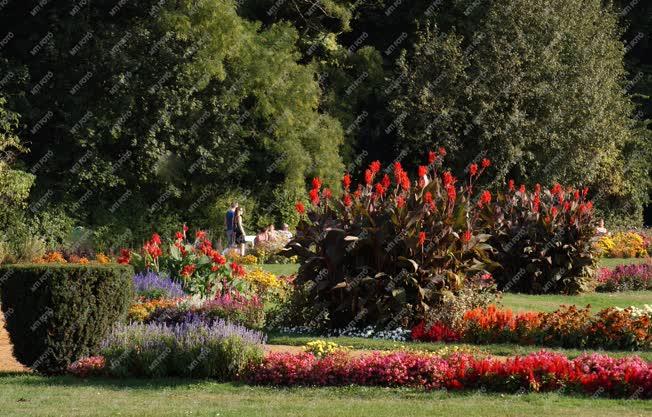 Budapest - Természet - Virágpark a Margitszigeten