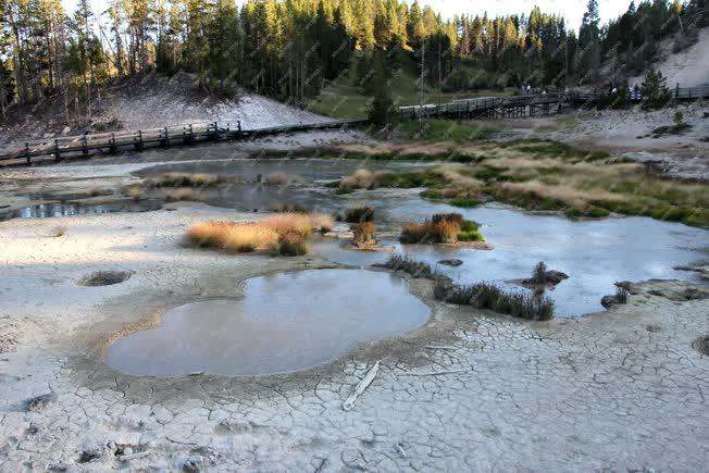 Természet - Yellowstone Nemzeti Park