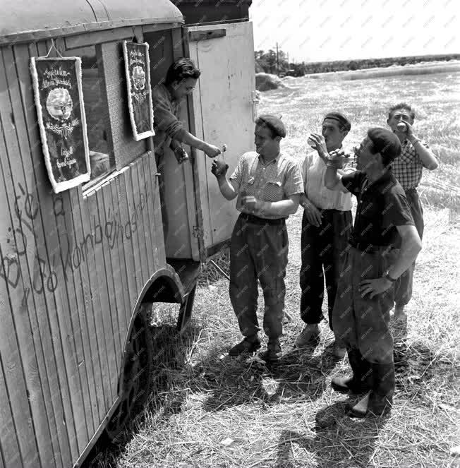 Mezőgazdaság -  Az agárdi Győzelem Állami Gazdaság