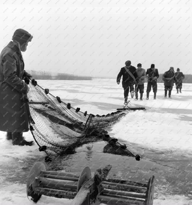Természet - Mezőgazdaság - Halászok a befagyott Velenci-tó jegén 