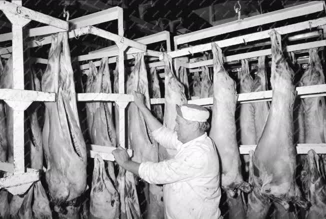 Ipar - Mezőgazdaság - Juh hús exportra