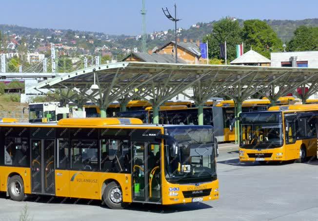 Közlekedés - Budapest - MÁV-Volán-csoport járművei a kelenföldi autóbusz-állomáson