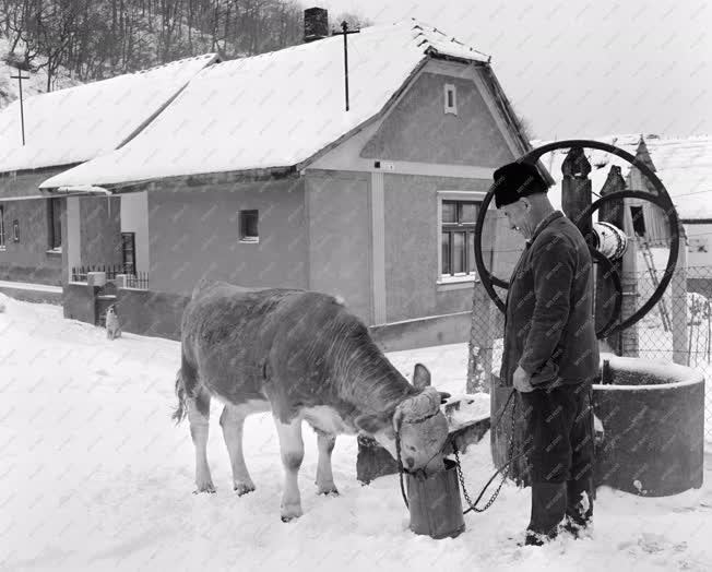 Életkép - Tél a Pilisben - Jánosi Gyula portája