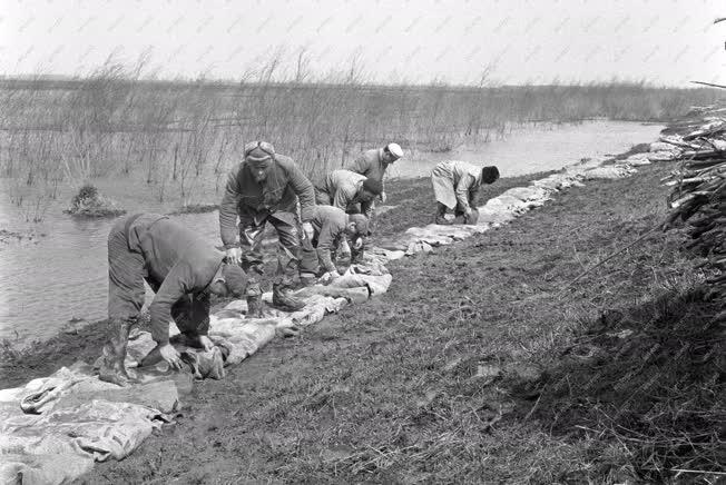 Katasztrófavédelem - Árad a Tisza Szolnok megyében