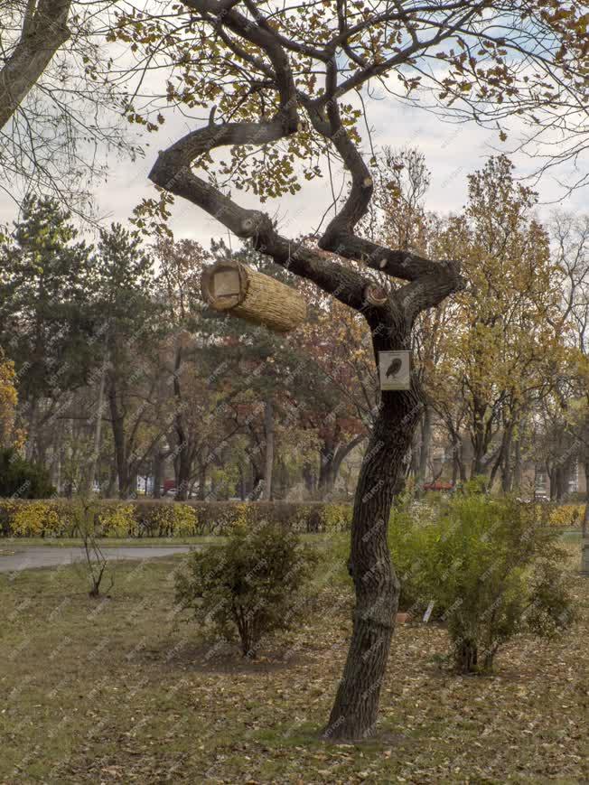 Természet - Budapest - Tanösvény