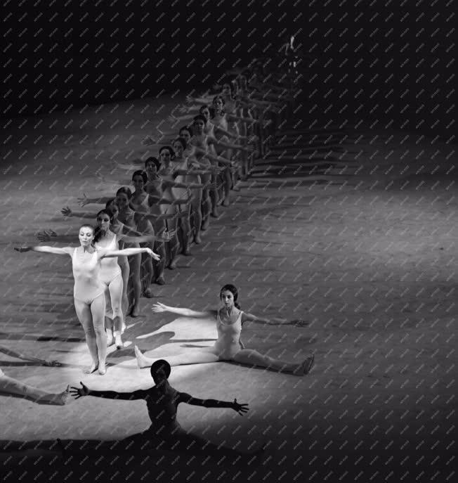 Kultúra - Balett - Igor Sztravinszkij: Tavaszi áldozat