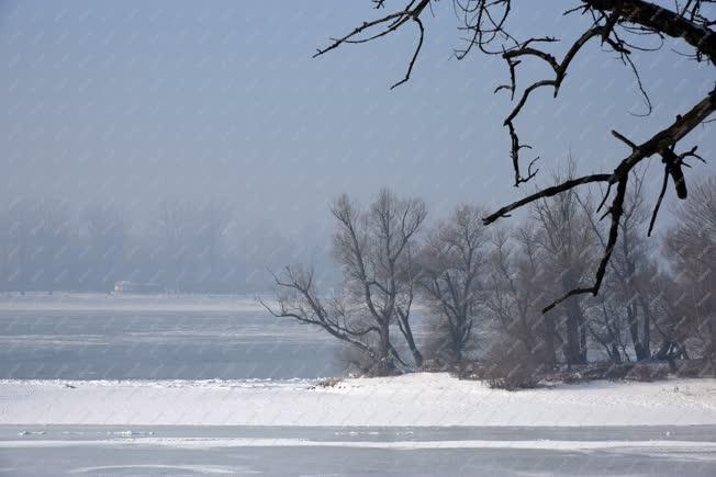 Természet - Zebegény - Téli Duna-part