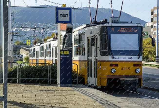 Közlekedés - Budapest - Villamos a Szentlélek téri megállóban