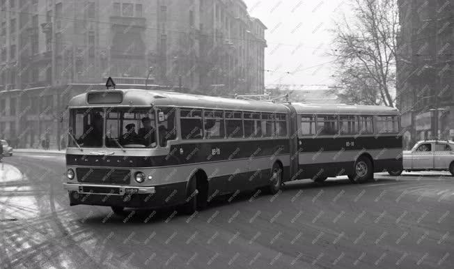 Közlekedés - Új csuklós Ikarus busz próbajáraton