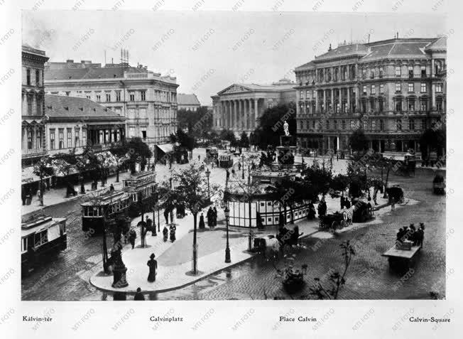 Városkép-életkép - A Kálvin tér