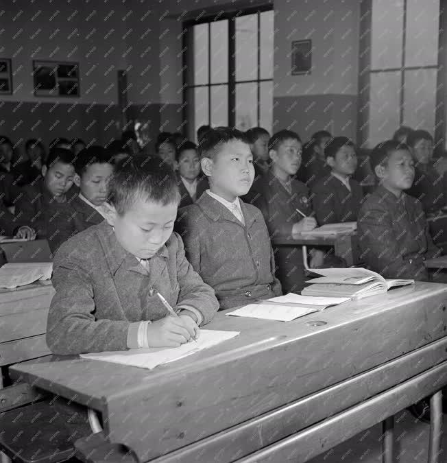 Oktatás - A Kim Ir Szen Iskola