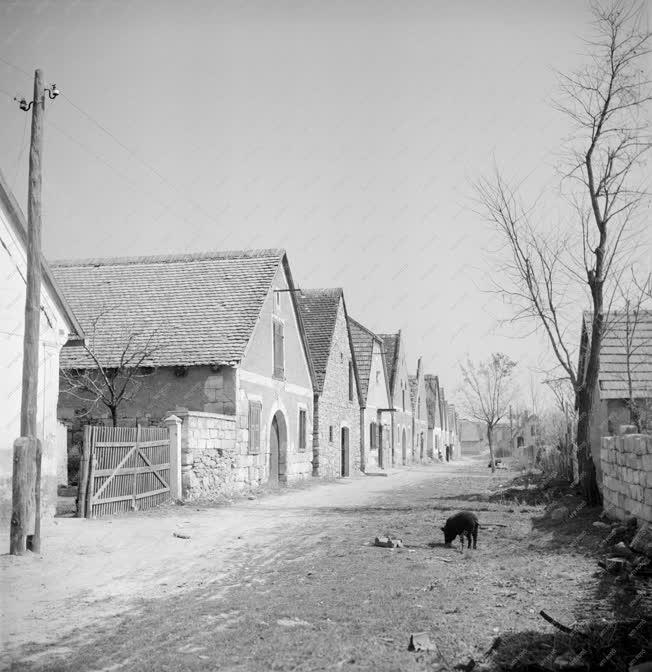 Táj, város - Budaörs 1949-ben