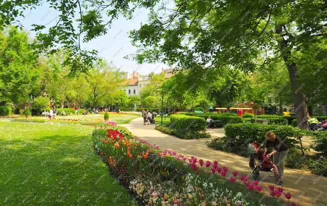 Budapest - Városkép - Károlyi-kert