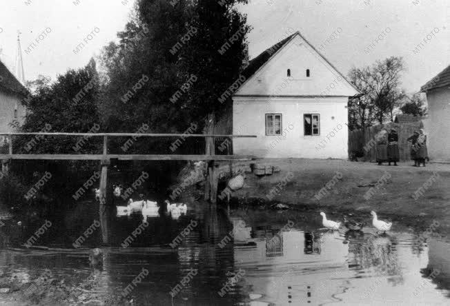 Kultúra - Liszt Ferenc zeneszerző