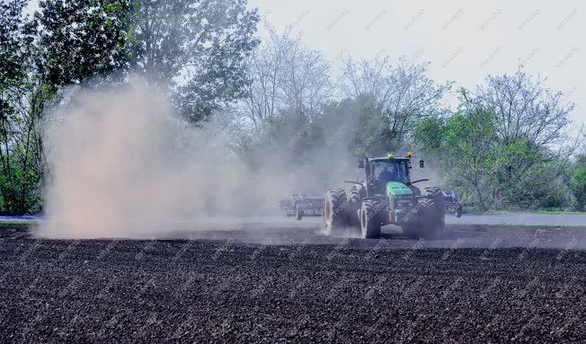 Mezőgazdaság - Debrecen - Talajelőkészítés kukorica vetéshez
