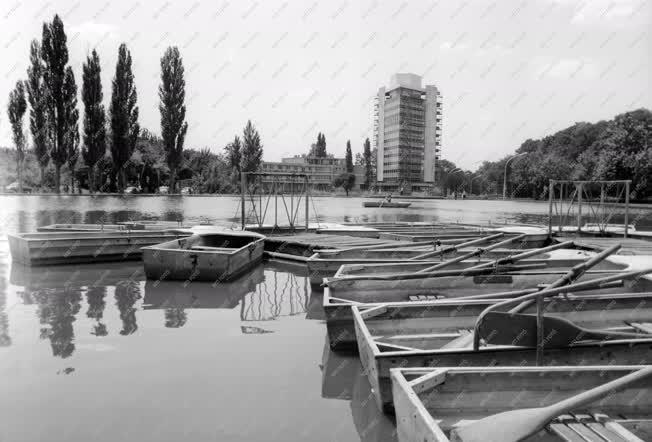 Városkép-életkép - Debrecen