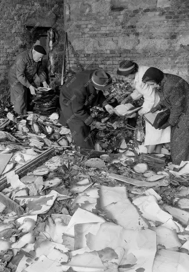 Történelem - 1956-os forradalom és szabadságharc - Veszteségek