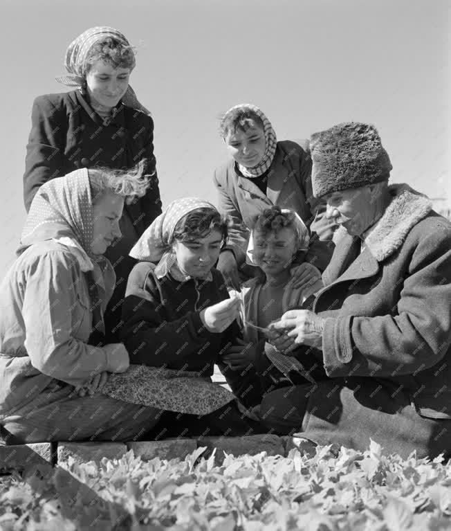 Mezőgazdaság - Fiatalok a kisújszállási Búzakalász Tsz-ben