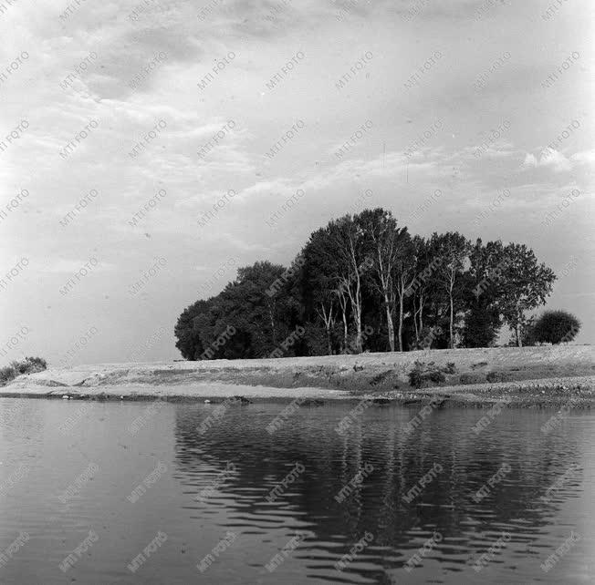 A szerző válogatása - a Felső-Tisza