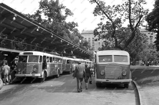 Tömegközlekedés - Az Engels téri buszpályaudvar