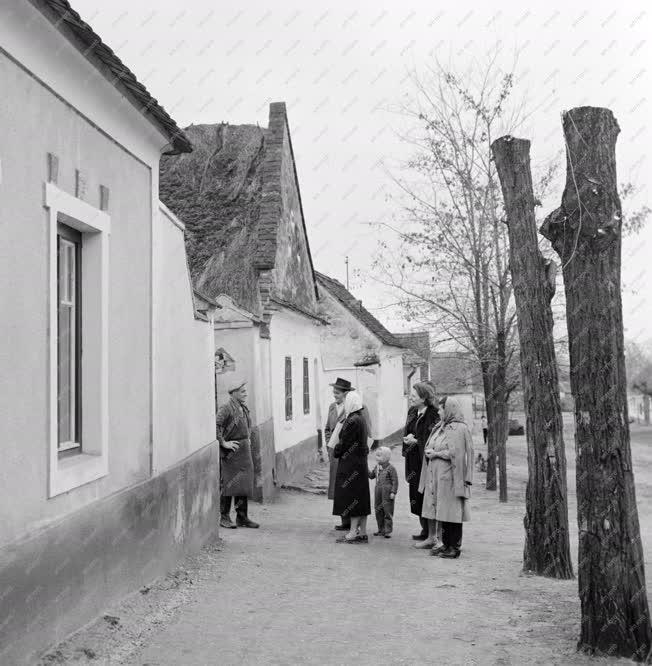 Belpolitika - Az 1960. évi népszámlálás