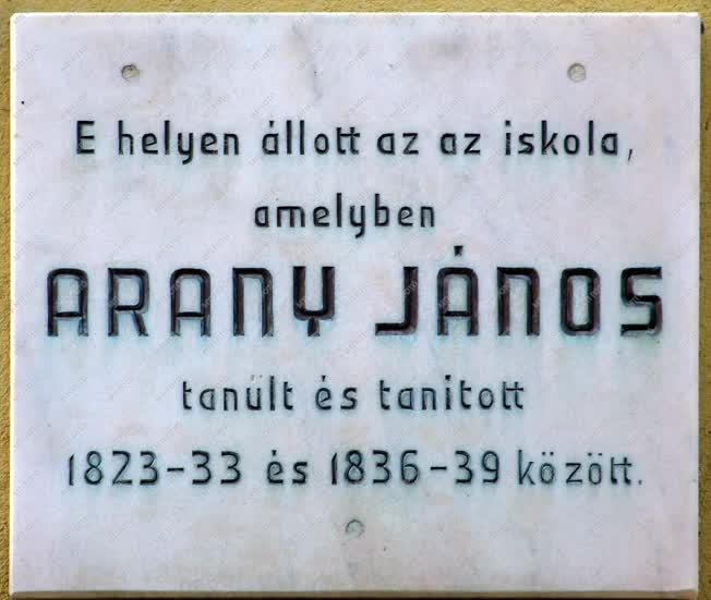 Emlékhely - Nagyszalonta - Az Arany János iskola