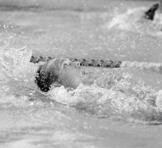 Sport - Országos úszóbajnokság a Komjádi uszodában