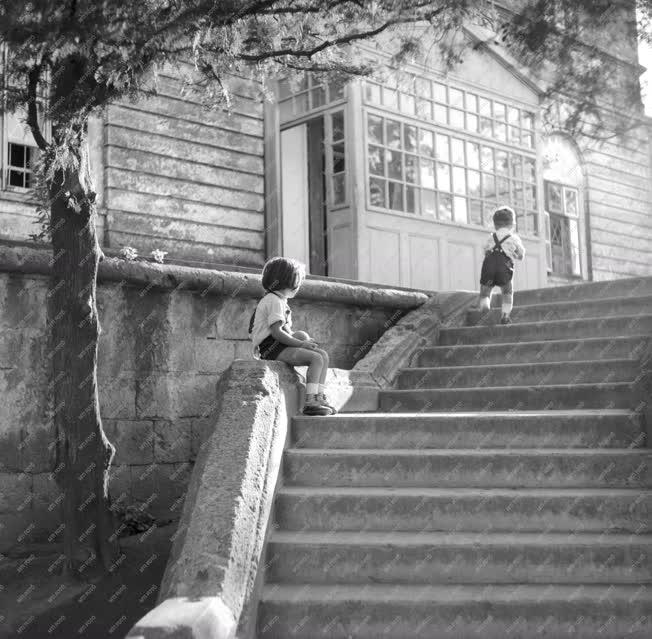 Életkép - Gyerekek a lépcsőn - Vay-kastély