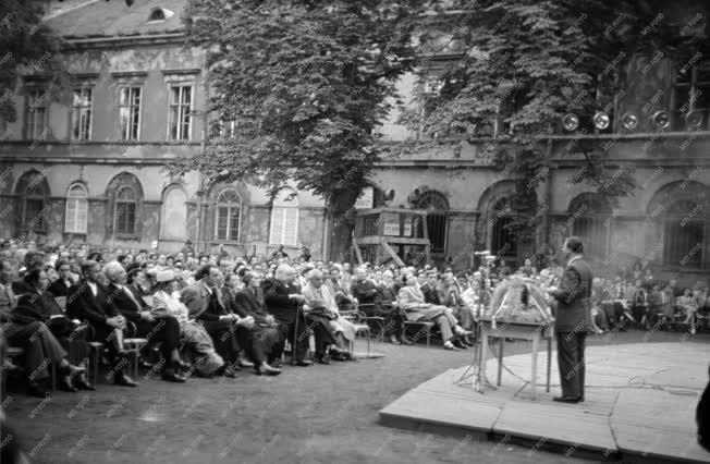 Kultúra - Koncert a Károlyi-kertben