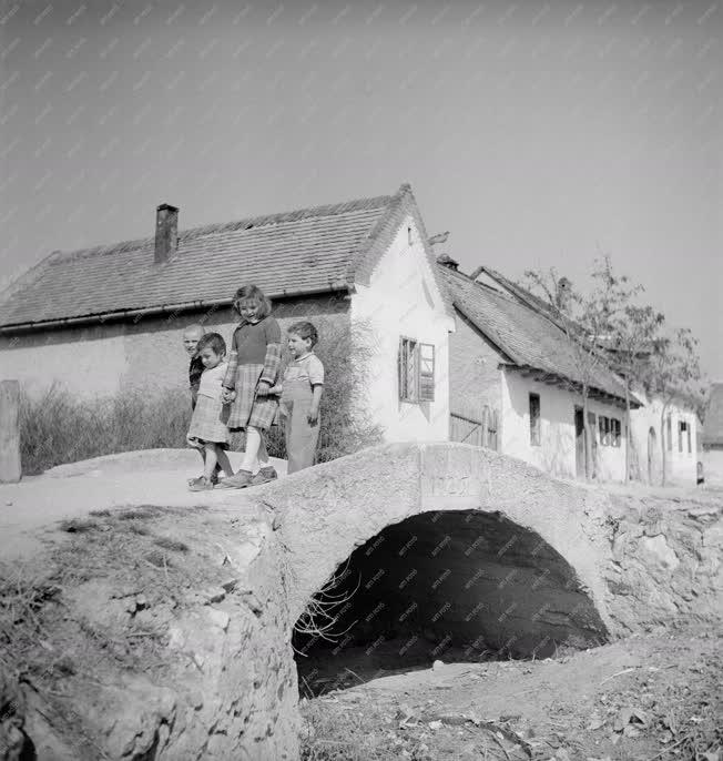 Táj, város - Budaörs 1949-ben