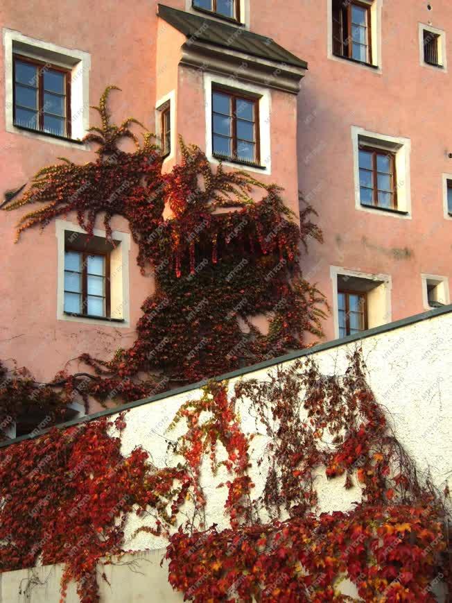 Ausztria - Városkép - Ház vadszőlővel