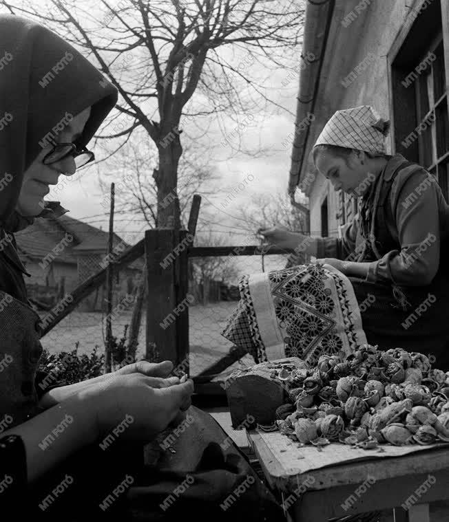 A szerző válogatása - Buzsák