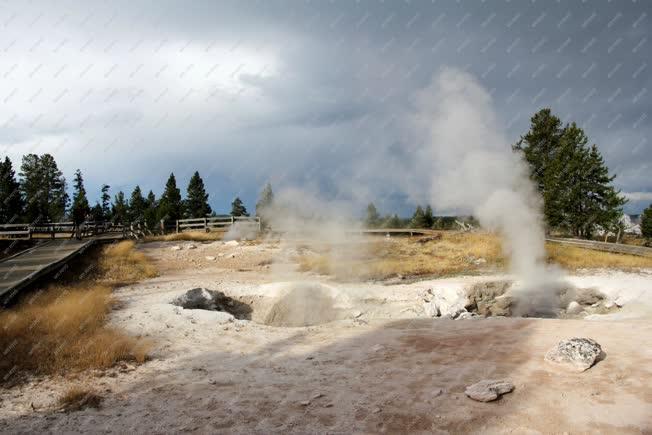 Természet - Gejzír a Yellowstone Nemzeti Parkban