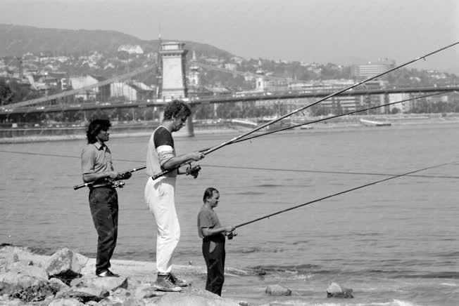 Hobbi - Horgászok az alacsony vízállású Duna partján