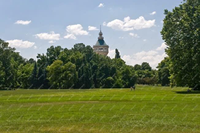 Városkép - Budapest - A margitszigeti Nagyrét