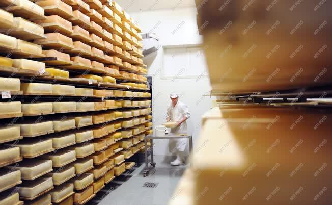 Élelmiszeripar - Torockószentgyörgy - Torockói sajtüzem