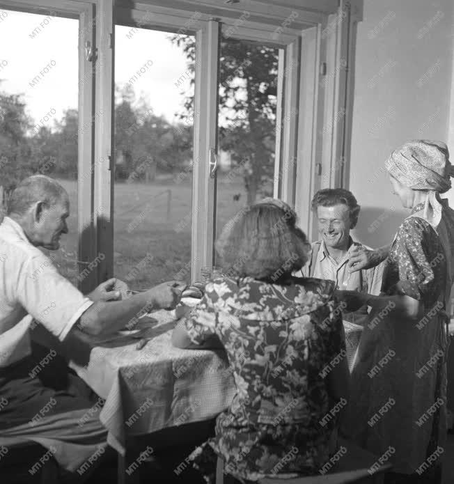 Mezőgazdaság - Életkép - A nemesnépi Vörös Hajnal Tsz elnöke