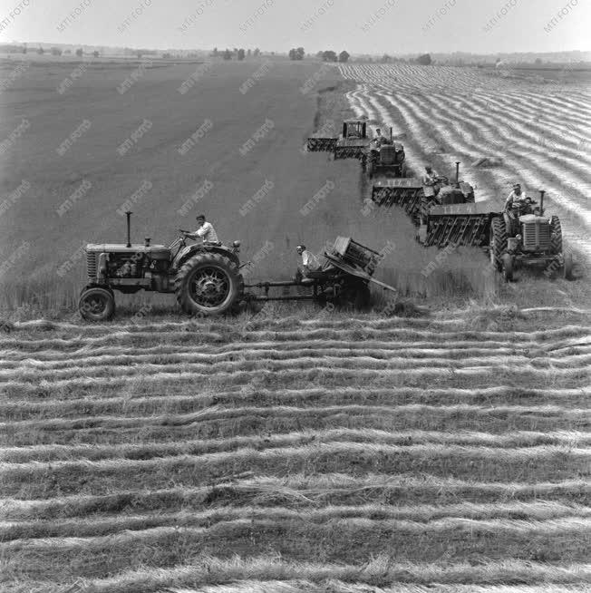 Mezőgazdaság - Lentermelés - Agrotechnika