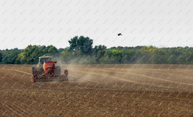 Mezőgazdaság - Vetik az őszi árpát Debrecennél
