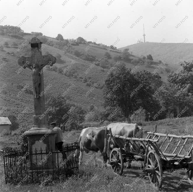 Tokaj